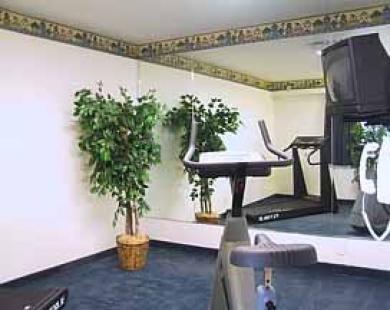 San Mateo Sfo Airport Hotel 시설 사진